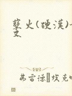 孽火(硬汉)今又