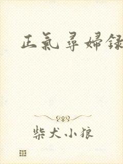 正气寻妇录