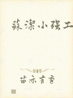 苏洁小强工地情