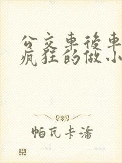 公交车后车座的疯狂的做小