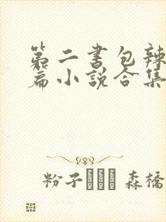 第二书包辣网短篇小说合集