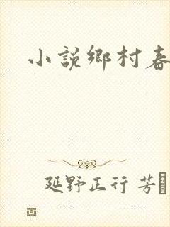 小说乡村春光