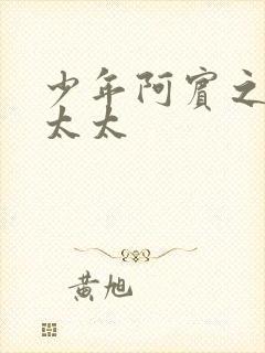 少年阿宾之房东太太