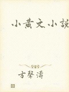 小黄文小说