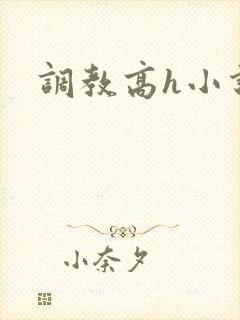 调教高h小说封面