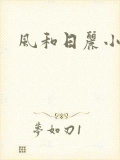 风和日丽小说