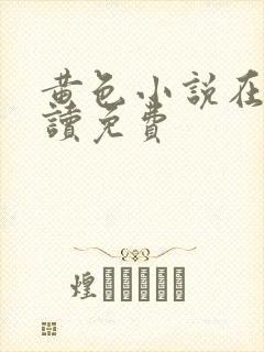 黄色小说在线阅读免费