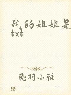 我的姐姐是美女txt