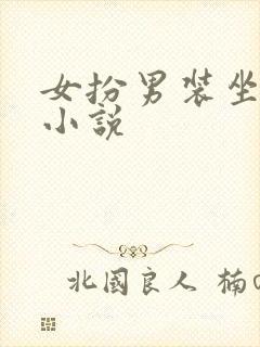 女扮男装坐江山小说