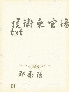 侯卫东官场笔记txt