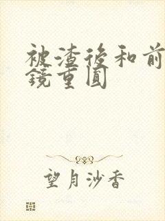 被渣后和前夫破镜重圆