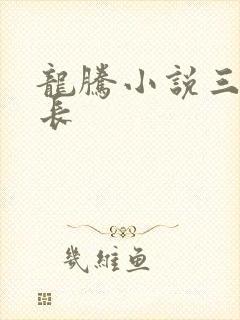 龙腾小说三宝局长封面