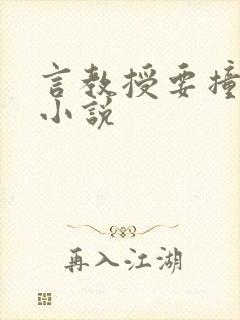 言教授要撞坏了小说