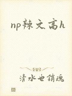 np辣文高h封面