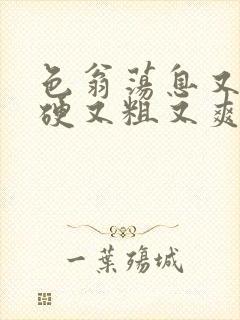 色翁荡息又大又硬又粗又爽电影