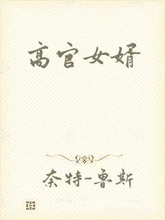 高官女婿