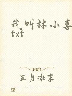 我叫林小喜小说txt