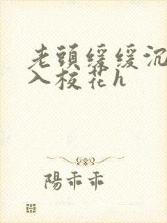 老头缓缓沉腰进入校花h