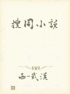 搜同小说