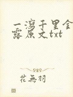 一泻千里金银花露原文txt