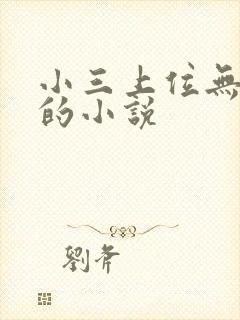 小三上位无三观的小说