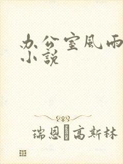 办公室风雨完整小说