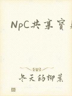 NpC共享宝贝