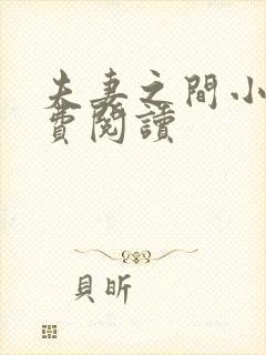 夫妻之间小说免费阅读