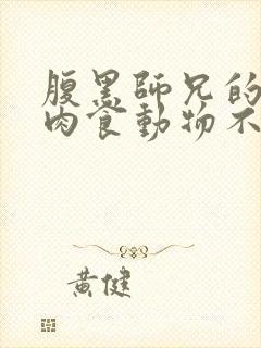 腹黑师兄的日常肉食动物不食草