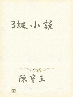 3级小说