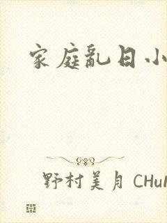 家庭乱日小说