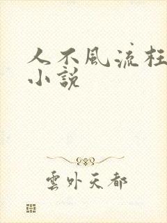 人不风流枉少年小说