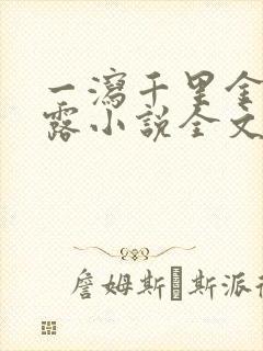 一泻千里金银花露小说全文免费阅读