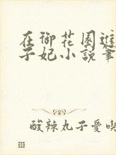 在御花园进入太子妃小说笔趣阁