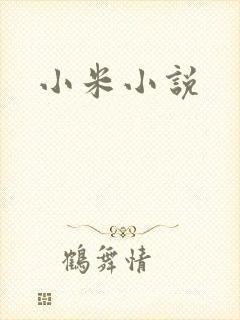 小米小说封面