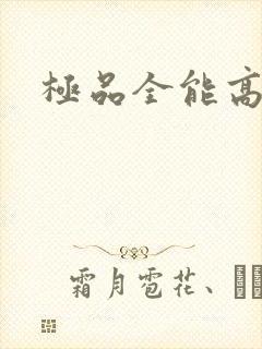 极品全能高手