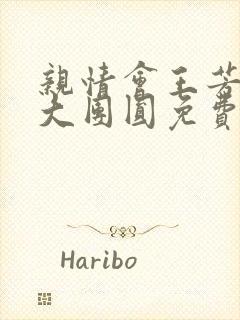 亲情会王芳高敏大团圆免费阅读