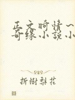 正文畸情～内裤奇缘小说小茹