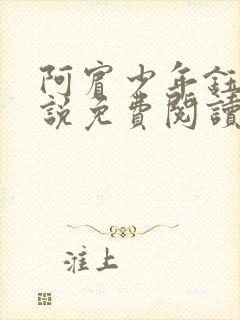 阿宾少年钰慧小说免费阅读笔趣阁