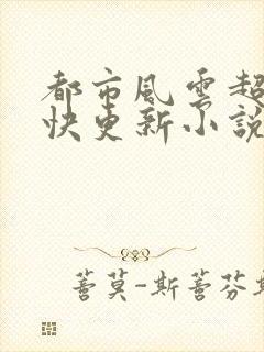 都市风云超前超快更新小说