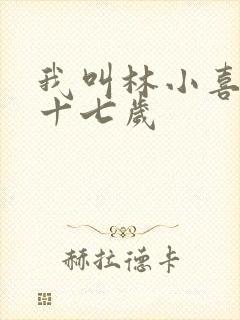 我叫林小喜今年十七岁