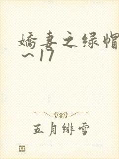 娇妻之绿帽癖1～17