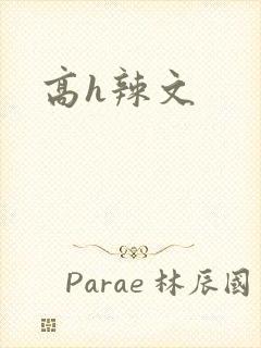 高h辣文