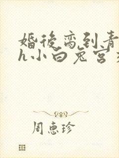 婚后脔到青梅哭h小白兔宫交h