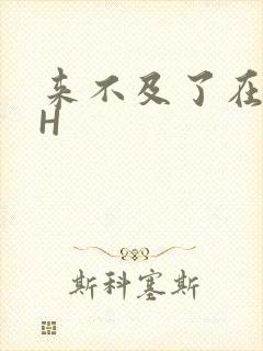 来不及了在车CH