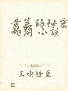 黄蓉的秘密 笔趣阁 小说