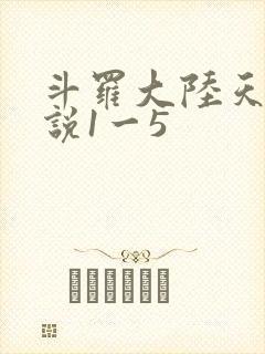 斗罗大陆天狂传说1一5