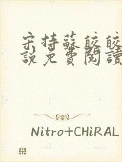 宋持苏皎皎的小说免费阅读