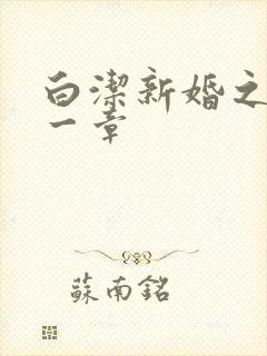 白洁新婚之夜第一章