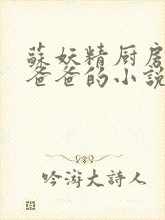 苏妖精厨房爹爹爸爸的小说封面